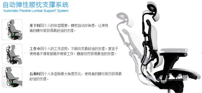 �칫�ν��ϵ��Ergohuman